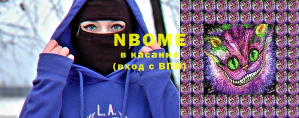 хмурый Алзамай