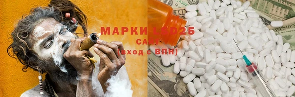 хмурый Алзамай
